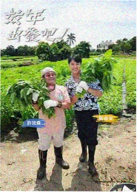 厨房里的昭和 日本人文美食综艺高清封面